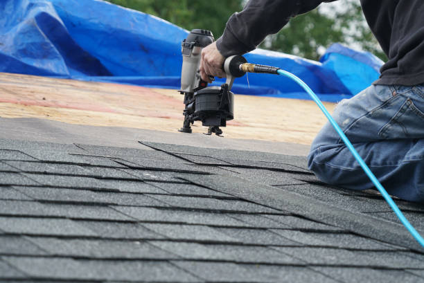 Best Roof Insulation Installation  in Baldwin, GA